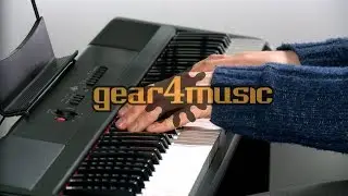 SDP-2 Stage Piano by Gear4music