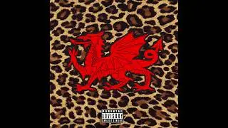 BOYO - SAVAGE (Audio)