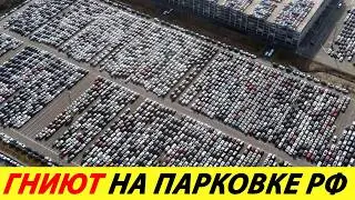 ⛔️ПОКА ТЫ КОПИШЬ НА Б/У АВТО В РОССИИ ГНИЁТ ОГРОМНОЕ КОЛИЧЕСТВО МАШИН ЗАВЕЗЁННЫХ ЧЕРЕЗ СЕРЫЙ ИМПОРТ❗