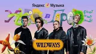 Утро в городе | Wildways в Санкт-Петербурге