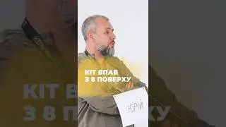 Які у вас є історії про котиків? #київпасажирський #шоу #ідентифікація #українською #котики