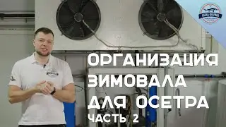 Организация зимовала для осетра. Часть 2