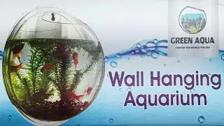 ചുമരിൽ തൂങ്ങുന്ന ഫിഷ് ടാങ്ക് Wall Hanging Fish Tank