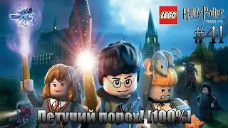 LEGO Harry Potter: Years 1-4 Прохождение - #41 - Летучий порох! [100%]