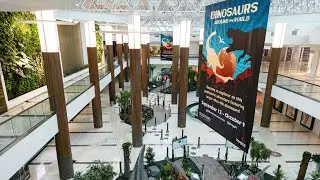 Amazing Dinosaur Exhibit at Guildford Town Centre | DINOSAURS Around the World