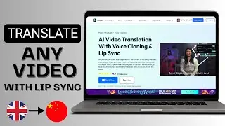 How to Translate Videos with Perfect Lip Sync Using Filmora 14