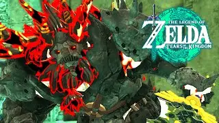 ARMORED! Hard Lynel Challenge - Zelda Tears of the Kingdom [60FPS]