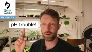 DWC Hydroponics Update: Fixing pH Issues and Testing FS110 Grow Lights