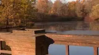 ОСЕНЬ СТАРЫЙ ПРЕСТАРЫЙ МОСТ Футаж с движением камеры