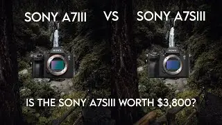 Sony A7siii Vs Sony A7iii... Is the A7siii worth $3,800