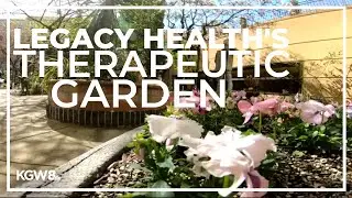 Legacy Health designs gardens to help relieve stress