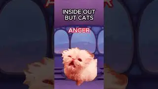 CAT MEMES 🐱 INSIDE OUT BUT CATS #cat #catlover #catvideos #insideout #shorts