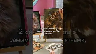 😻Как нарисовать котика😻