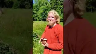 О жилищах Викингов 