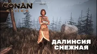 Conan Exiles / Далинсия Снежная