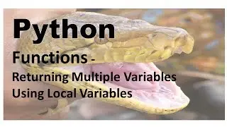 303-Python - Functions: Return Multiple Variables, Local Variables