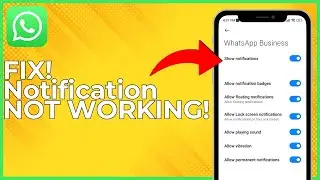 How To FIX WhatsApp Notification Not Working - Full Guide