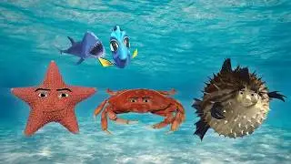 Oceanic Gegagedigedagedago *I did it for 20 hours !!