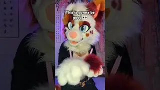 Go for it! #furry #cosplay #fursuit #antizoo