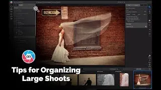 Tips for Organizing Large Photo Shoots - ON1 Photo RAW
