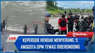 🔴KEPERGOK Hendak Menyerang, 5 Anggota OPM Tewas Diberondong Tembakan Marinir