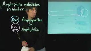 Topic 2.7 - Amphiphilic molecules