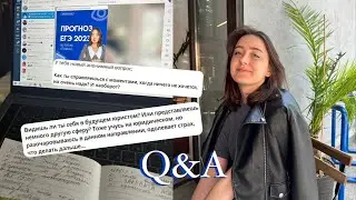 Q&A: подготовка к экзаменам, юриспруденция, работа