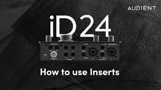 How to use Inserts on the iD24 and iD44 Audio Interfaces