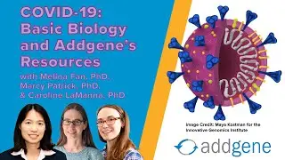 COVID-19: Basic Biology and Addgene’s Resources