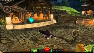 Guild Wars 2 - Beta bug