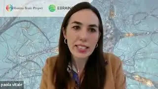 HBP Young Researchers - 