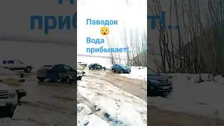 #shorts Средняя Волга. ВОДА НАСТУПАЕТ. 02.04.24г.