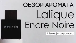 Обзор и отзывы о Lalique Encre Noire (Лалик Энкре Нуар) от Духи.рф | Бенефис аромата