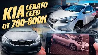 В КАКОМ СОСТОЯНИИ KIA CEED и KIA CERATO за 700-800тыс. АВТОПОДБОР.