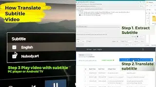 Extract subtitle to SRT and translate language free