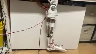 DARA Robot knee test 2