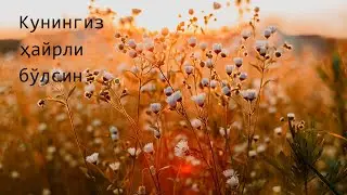 Xayrli tong mehribonim