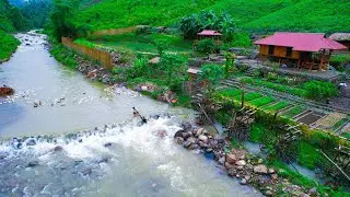 Mother Nature CREATES Heavy Rains - Sang Vy Garden is flooded, SAVE animals, Garden