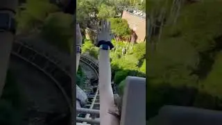 Why Are There Hair Ties At The Top Of Everest At Disney World 