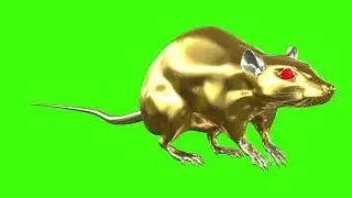 Copyright free🔥Green screen Gold Mouse vfx Video