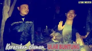 KERASUKAN SILUMAN ULAR BUNTUNG