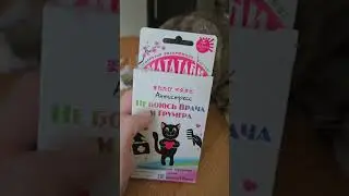 КАК УСПОКОИТЬ КОТА В СТРЕССОВОЙ СИТУАЦИИ ИЛИ ЧУДЕСНЫЙ МАТАТАБИ