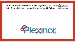 How To: Simulate LDP protocol  Adjacency and send MPLS Label Routes to any Router  using RT-Bricks