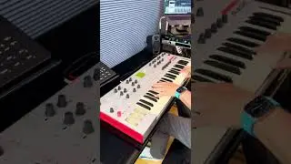 ALESIS ION  