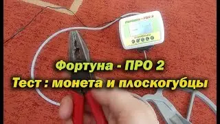 Фортуна ПРО 2 |  Тест: монета и плоскогубцы (пасcатижи)