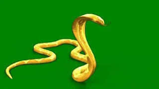 Prathna sheeh nagin on green screen || nagin snake in green screen magic #green