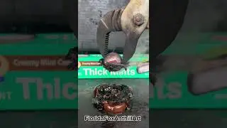RHCB vs Thick Mints #Satisfying #Experiment #RHCB