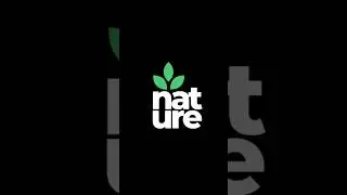 nature wordmark animation in #aftereffects #logoanimation