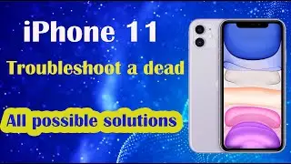 How to troubleshoot a dead iPhone 11 all possible solutions