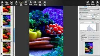 Canon Digital Photo Professional Tutorial - Tool palette/RAW image (8/19)